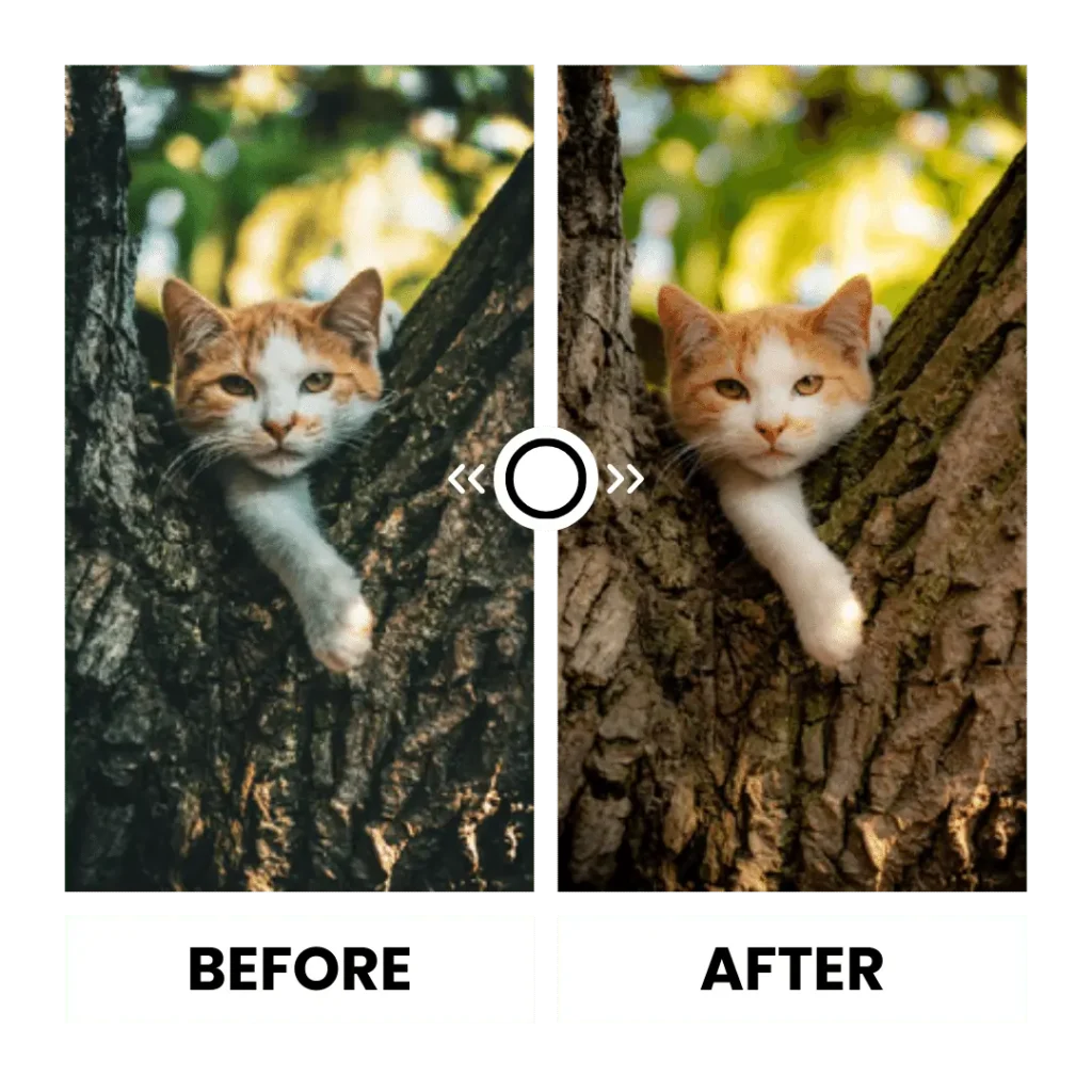 Lightroom iOS V9.3 preestablecido para mascotas