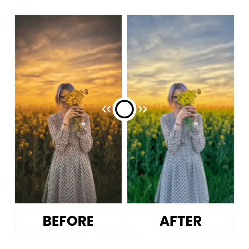 Lightroom mod apk preset for portrait 