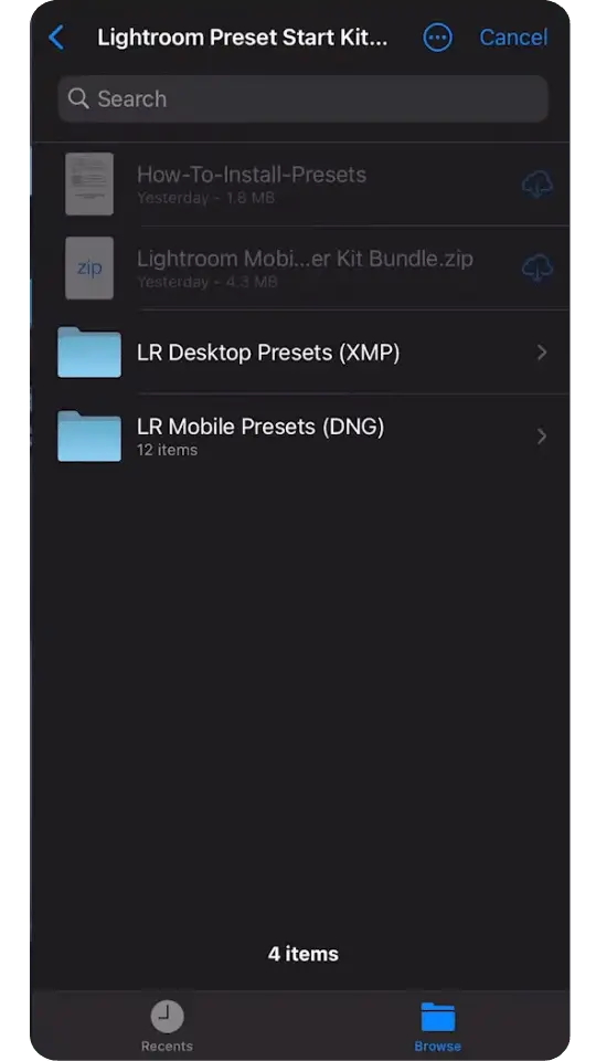 Lightroom presets for mobile import .DNG files