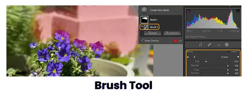 Brush mask tool for blur background in adobe lightroom