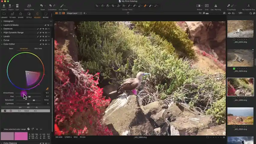 lightroom and capture one 