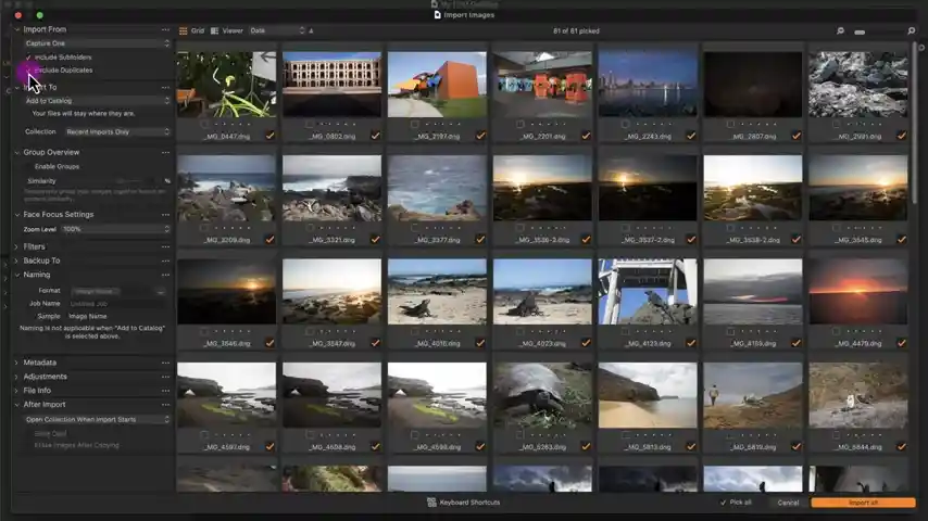 lightroom and capture one which is best